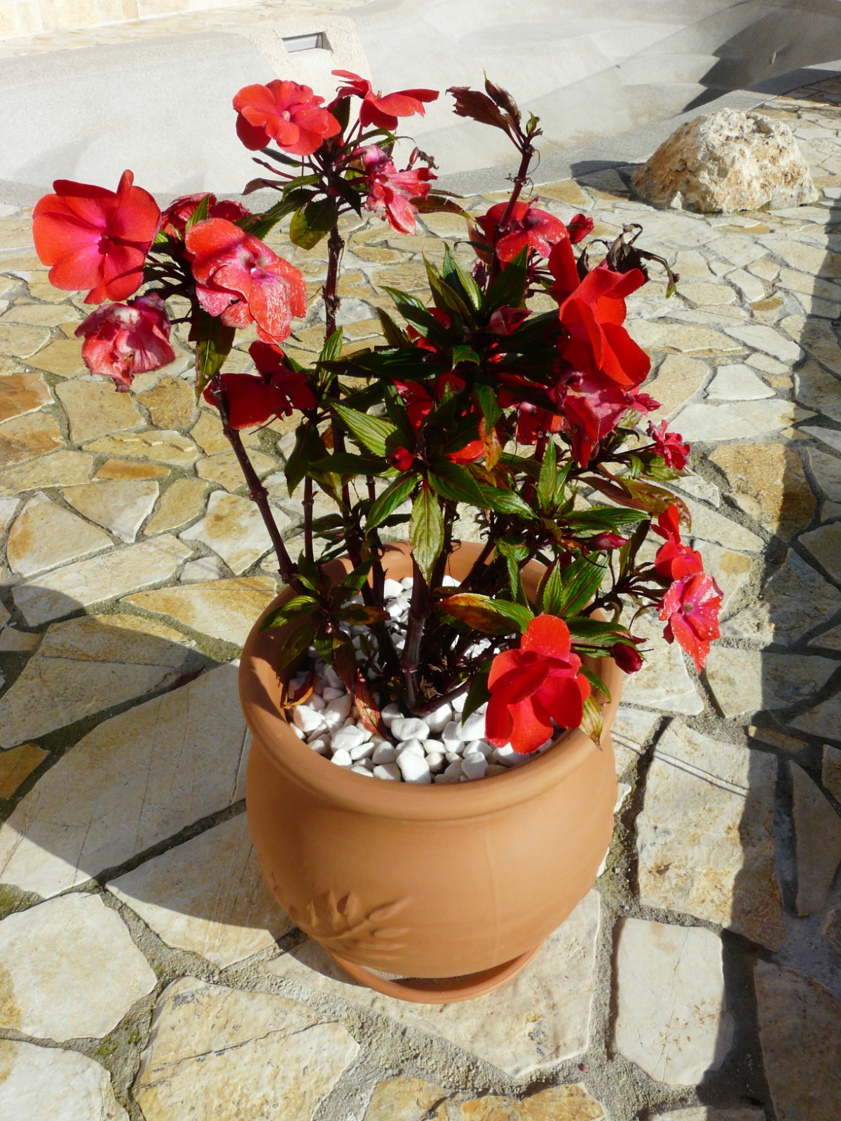 Omgeving van Villa vounó